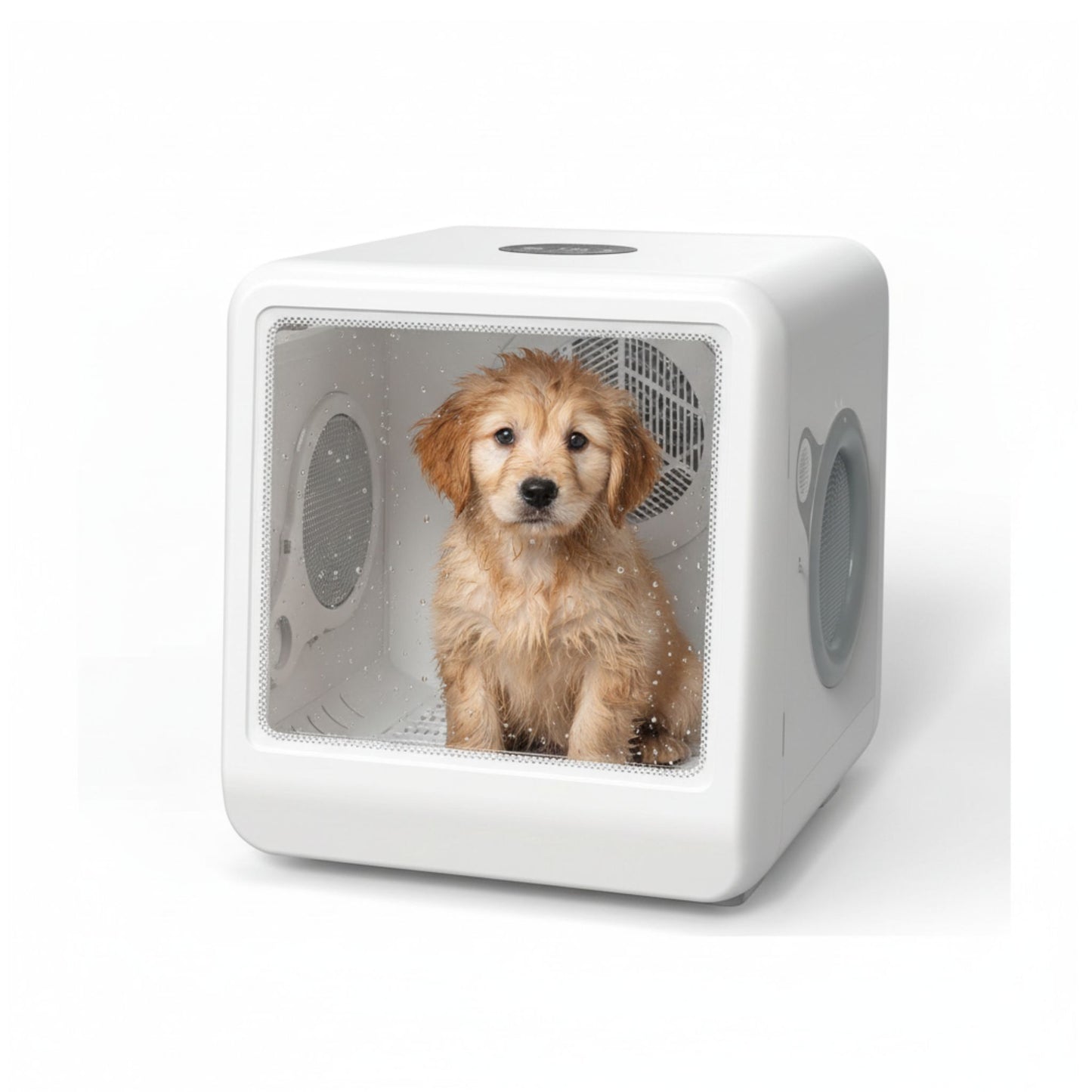 Small dog inside a white pet carrier on a white background