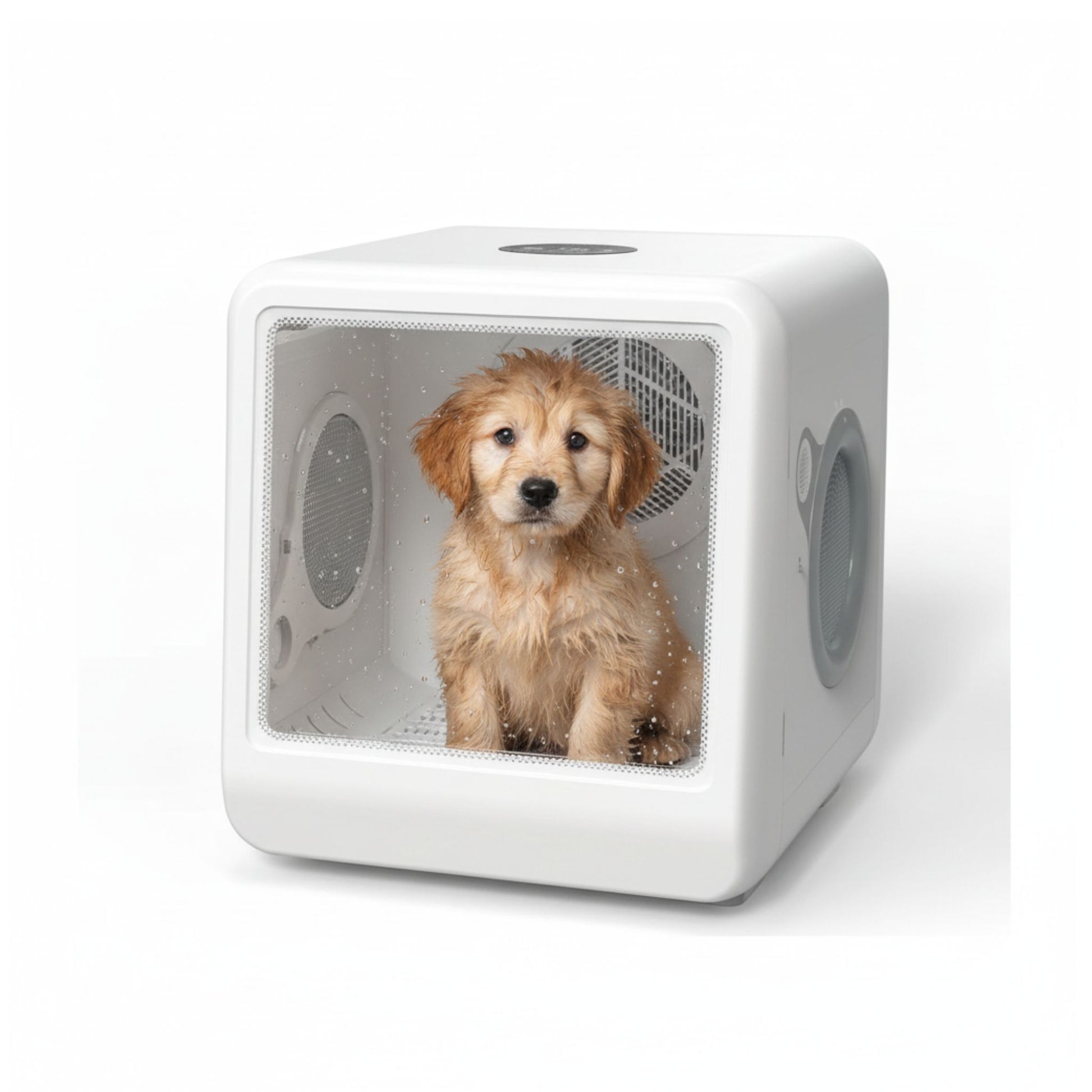 Small dog inside a white pet carrier on a white background