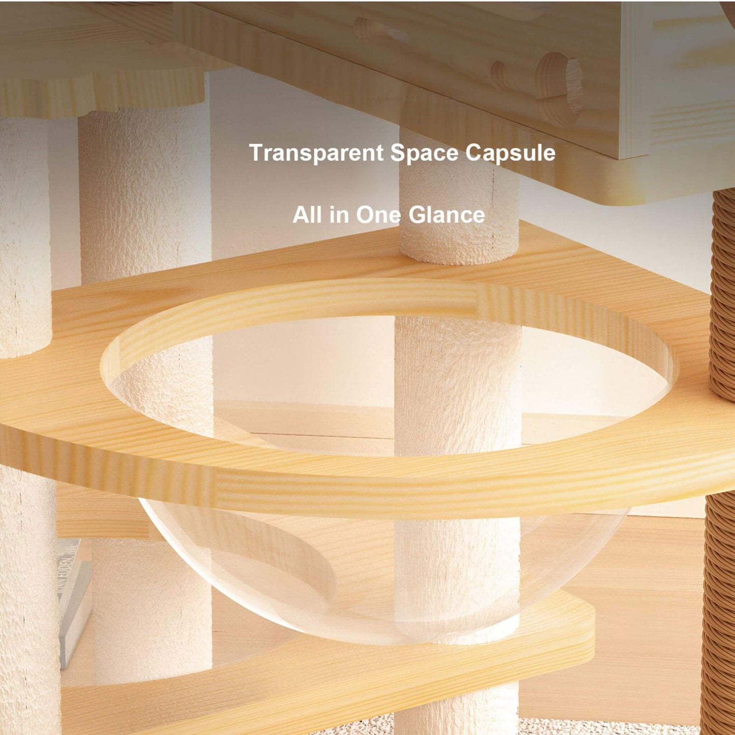 Transparent space capsule model with wooden structure, text 'Transparent Space Capsule All in One Glance'.