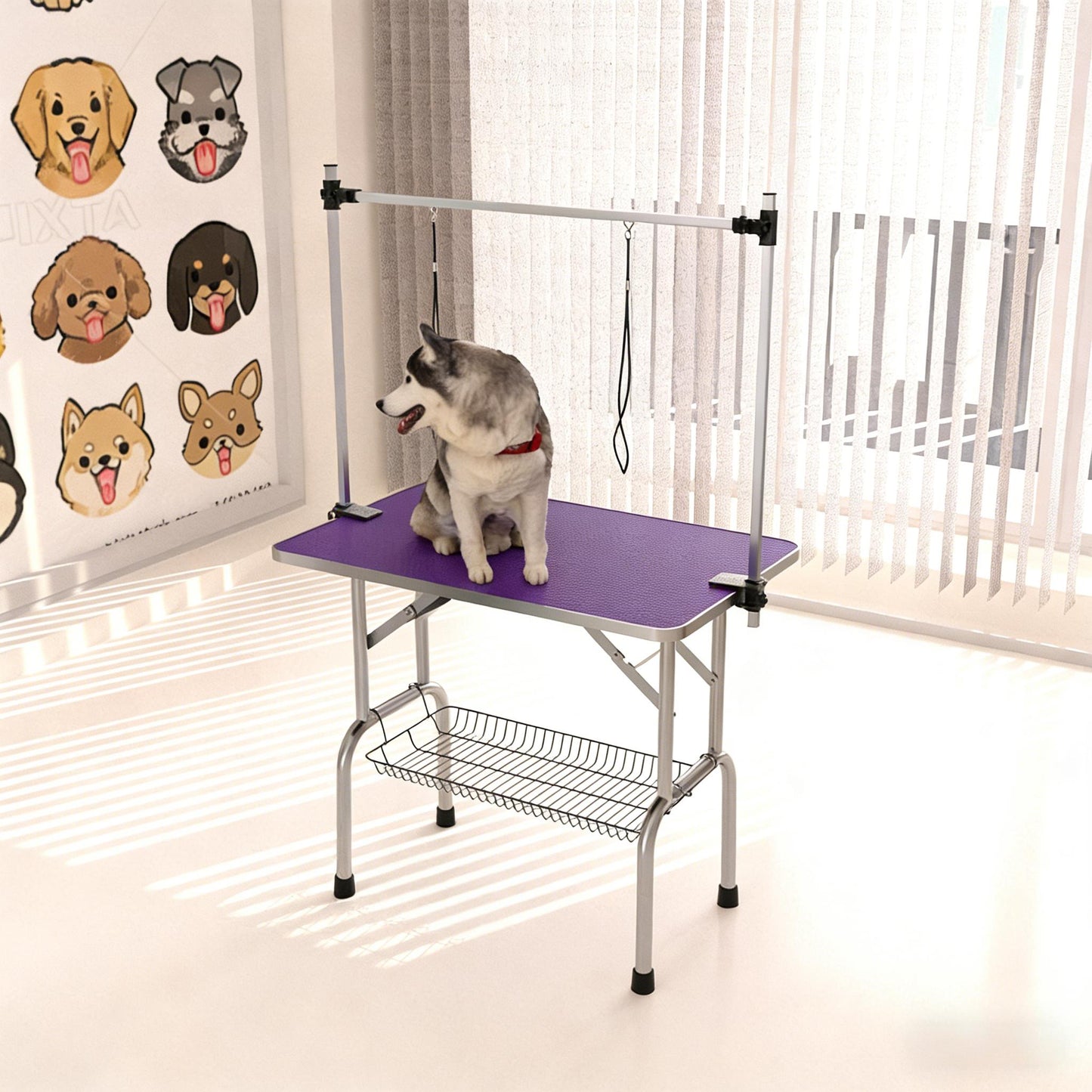 Dog sitting on a purple grooming table with a metal frame in a room.